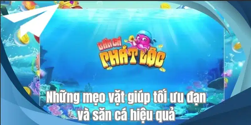 Những mẹo vặt giúp tối ưu đạn và săn cá hiệu quả